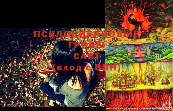 тгк Бронницы