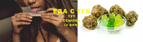 прущие крисы Бородино