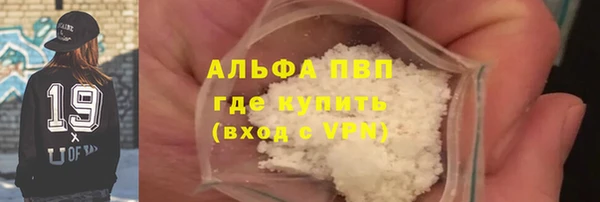 прущие крисы Бородино