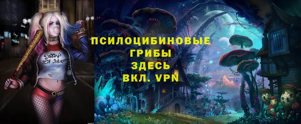 прущие крисы Бородино