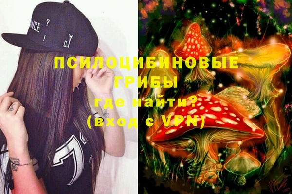 прущие крисы Бородино