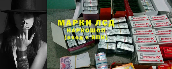 прущие крисы Бородино