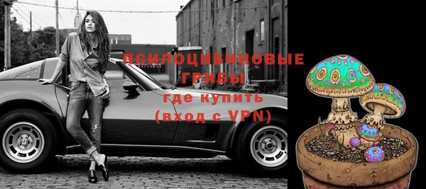 тгк Бронницы