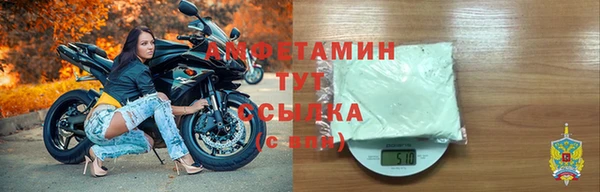 прущие крисы Бородино