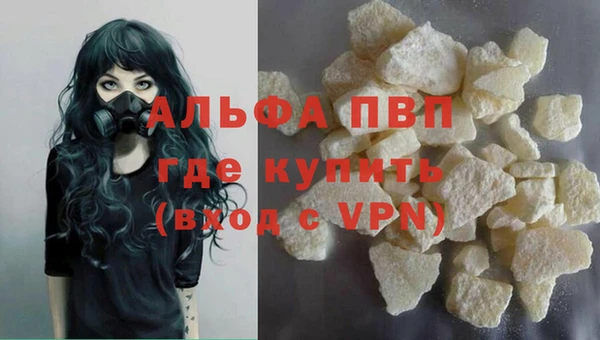 прущие крисы Бородино