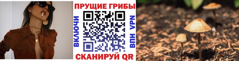 где купить   Тамбов  Галлюциногенные грибы ЛСД 